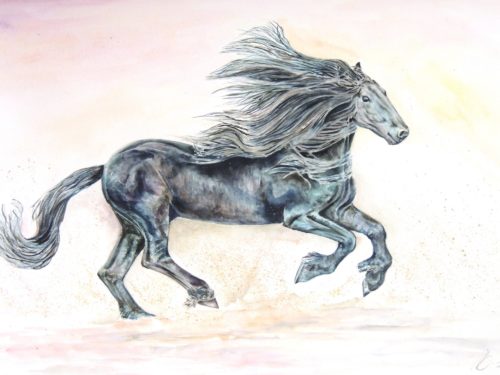 Fine Black Horse by Elizabeth Sadler