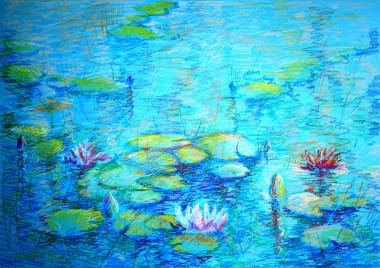 Water Lilies. 