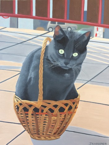 Cat In A Basket