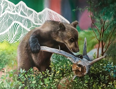 The Bear-Cub near the Driftwood