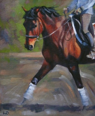 Dressage Horse Oil Painting