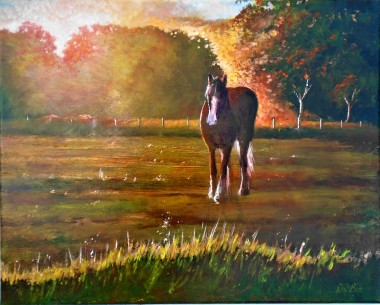 sunset, affordable oil painting, affordable art, horse, field, rural, peaceful.reflections.