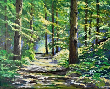 woodland walk, sunlight and shadow, peaceful, affordable art, affordable oil painting, summer, green,