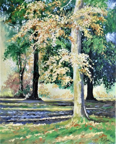 Trees, park, sunlight, autumn,affordable oil painting, Kent Uk
