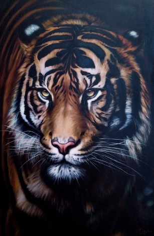 Majestic tiger 