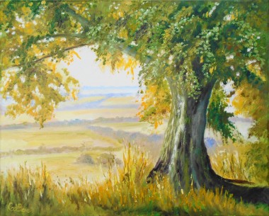 Summer, sunshine, trees, fields , UkK countryside, Affordable oil painting.