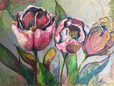 Tulips in Pink