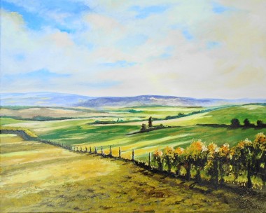 fields, sunlight and shadow, summer, affordable oil painting, peaceful. clouds, 