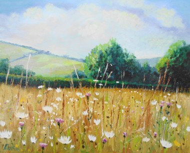 wildflowers, summer, fields, sunlight, affordable oil painting, peaceful, landscape,