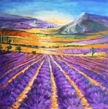 French Lavender Fields 