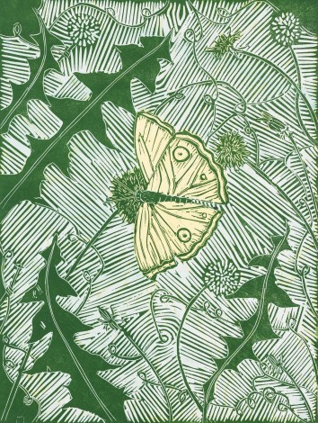 Butterfly on Dandelions