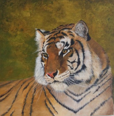 Pensive tiger. 