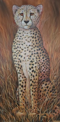 Cheetah front View 