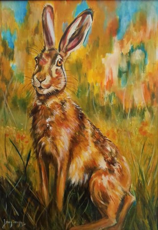 #hare #wildlife #rabbit #countryside
