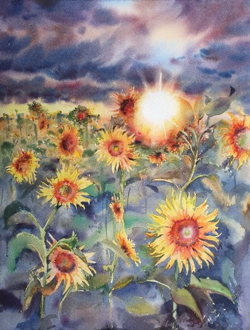 Sunflowers Field 2