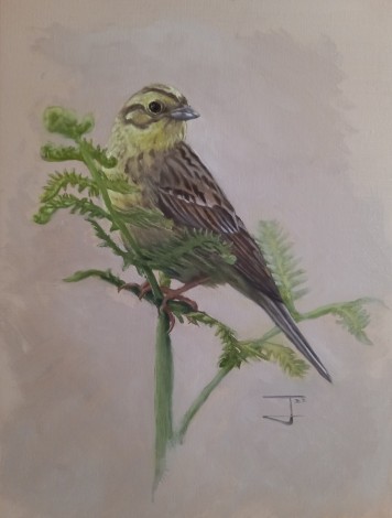 Main frontal view of the painting ‘The Yellowhammer’
