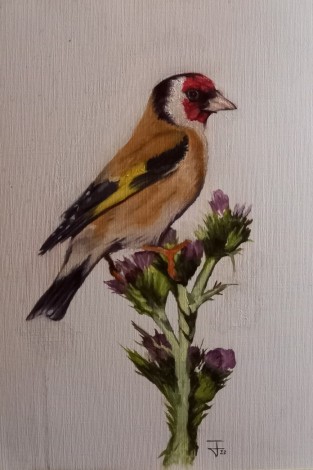 The Goldfinch (homage to Fabritus) 