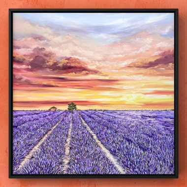 Lavender Field Framed