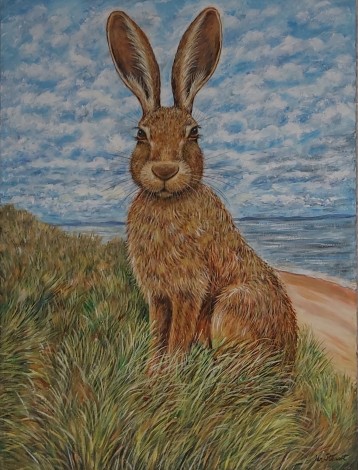 Hare on the Sand Dunes.