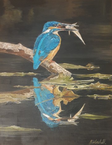 Kingfisher reflection 