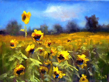 Sunflowers field 3D