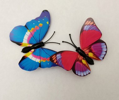 The Butterfly Kiss (Papilio Kiss)