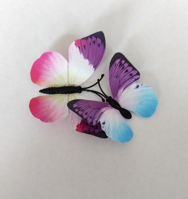  Butterflies First Kiss (Primum osculum papiliones)
