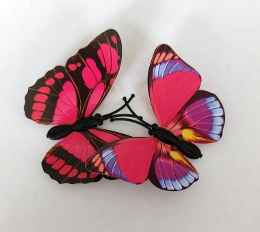 The Kissing Butterflies of Passion (Osculatio papiliones passionis)