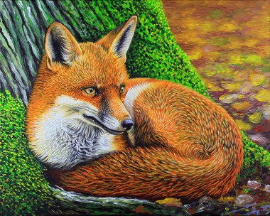 Wyre Forest Fox Autumn Wildlife