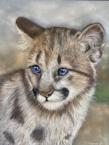 Pastel portrait of cougar cub
