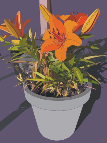 Orange Fuchsia In Plantpot