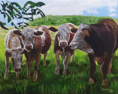 Four Cows  