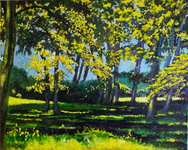 Summer, sunlight and shadow, greens, parkland, gardens, affordable oil painting, peaceful,