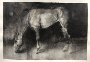 Horse drawing, artwork on paper 