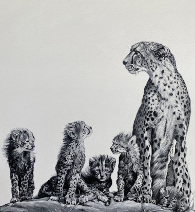Black & white cheetahs