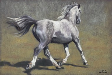 Grey arab horse trotting pastel art