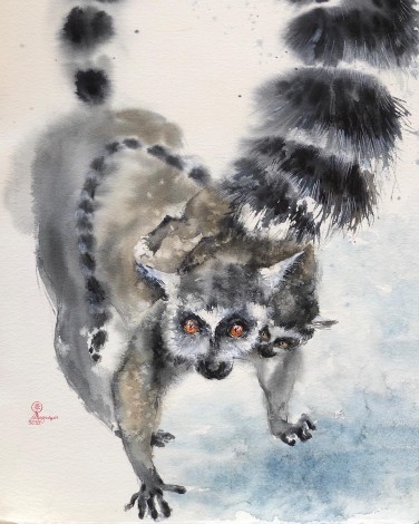 Lemur #2