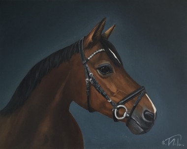 Horse portrait 