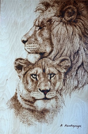 Wood burning painting. family Pair of lions. A postcard as a gift for a strong married couple.