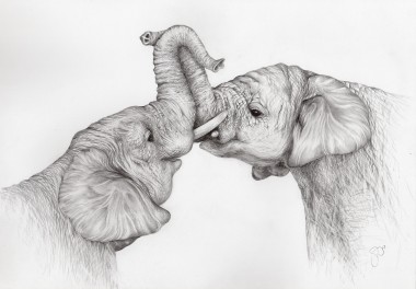 Elephant Embrace - Unframed