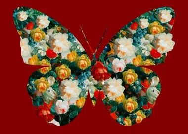 BUTTERFLY 74 (RED)