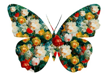 BUTTERFLY 74 (WHITE)
