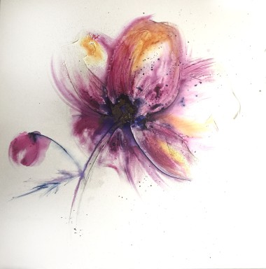 anemone 3