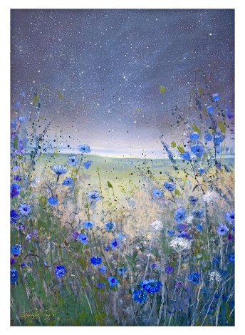 Cornflowers Under The Stars