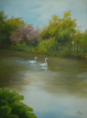 Swans on The Avon