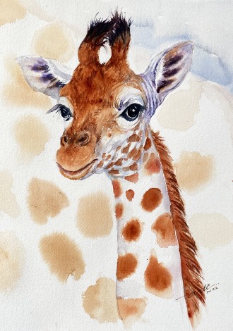 Baby Giraffe Yana