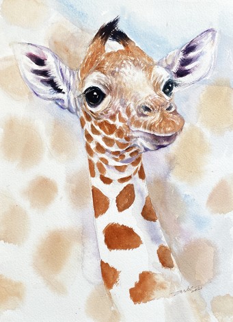 Baby Giraffe Zeke
