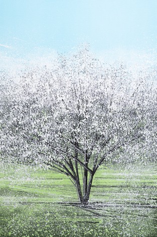 White Tree Blossom In Bright Light