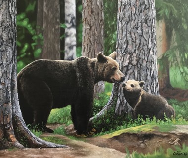 Bears in the Coniferous Forest