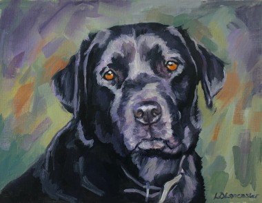 Black Labrador Portrait Oil Sketch